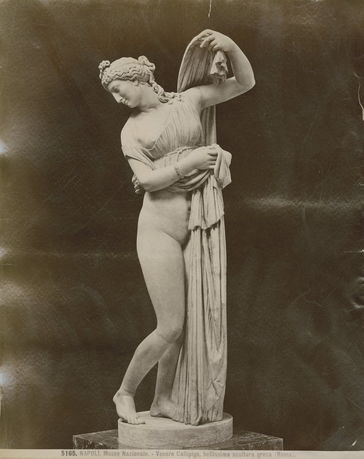 Cesi Juno, Belvedere Cleopatra, Callipygian Venus.