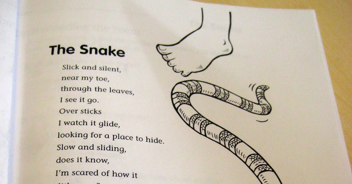 Mrs. Liebel's Classroom: Poetry Unit: The Snake