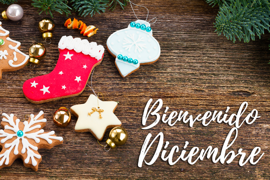 BANCO DE IMÁGENES: Bienvenido diciembre, el mes más hermoso del año...