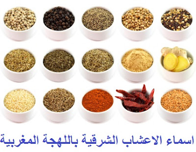 اسماء الاعشاب الشرقية باللهجة المغربية اسماء الاعشاب الشرقية باللهجة المغربية