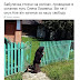 Сети взорвало фото бабушки, провожающей погибшего бойца АТО