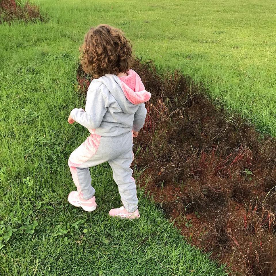 shadow grass moletom com capuz