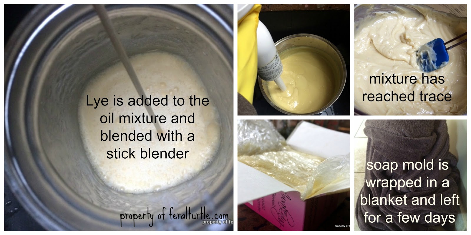 The Feral Turtle Dandruff Shampoo Bars.