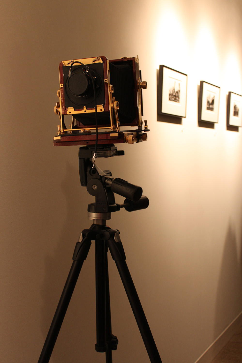 9 Facebook Pages To Adhere To Regarding Night Vision Trail Camera No Flash