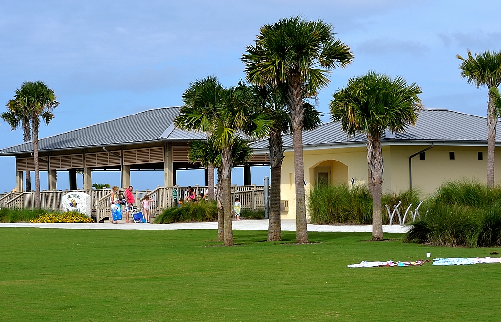 Drift Away Jekyll Island Beaches are For the Dogs, in Pictures