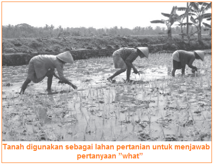 3 Masalah Pokok Ekonomi Dan Contohnya