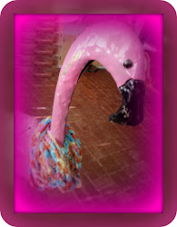 bird paradise nose fly