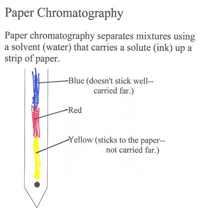 separation of photosynthetic pigments by paper chromatography experiment