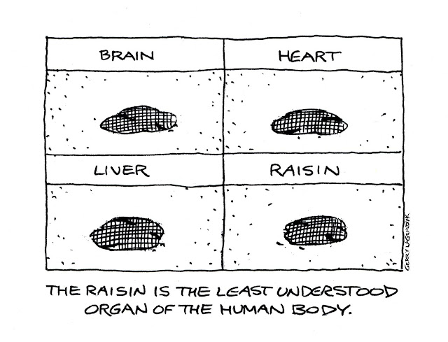 Stranger Than Truth Stranger Than Truth, science cartoon, anatomy cartoon