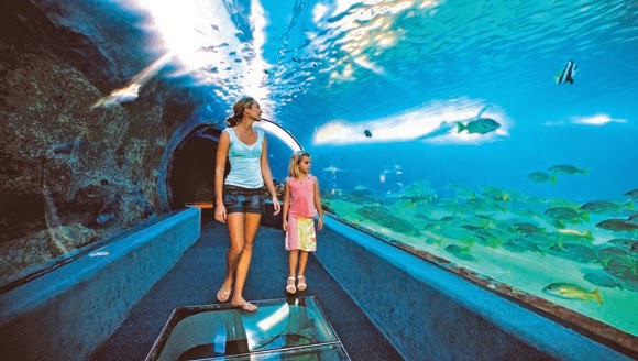 Sizzling Tourist Hotspots in Hawaii | Maui Ocean Center - The Hawaiian Aquarium in Wailuku Sizzling Tourist Hotspots in Hawaii | Maui Ocean Center - The Hawaiian Aquarium in Wailuku