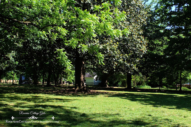 Photo of a grassy area with old tall trees and in the midst of the trees you can barely see the Sam Davis Home.  This is the historic property of the family. It is by RosevineCottageGirls.com