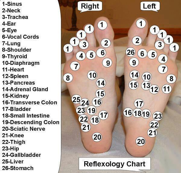 Wat the health WTH Foot Reflexology Chart