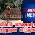 தூபி மேல் ஏறிய இரு முஸ்லிம் மாணவர்களும் சற்றுமுன் விடுதலை