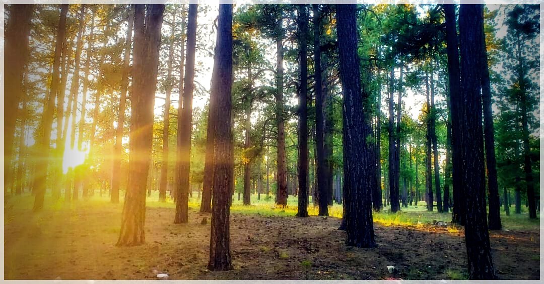 HikingTrails-70156116197