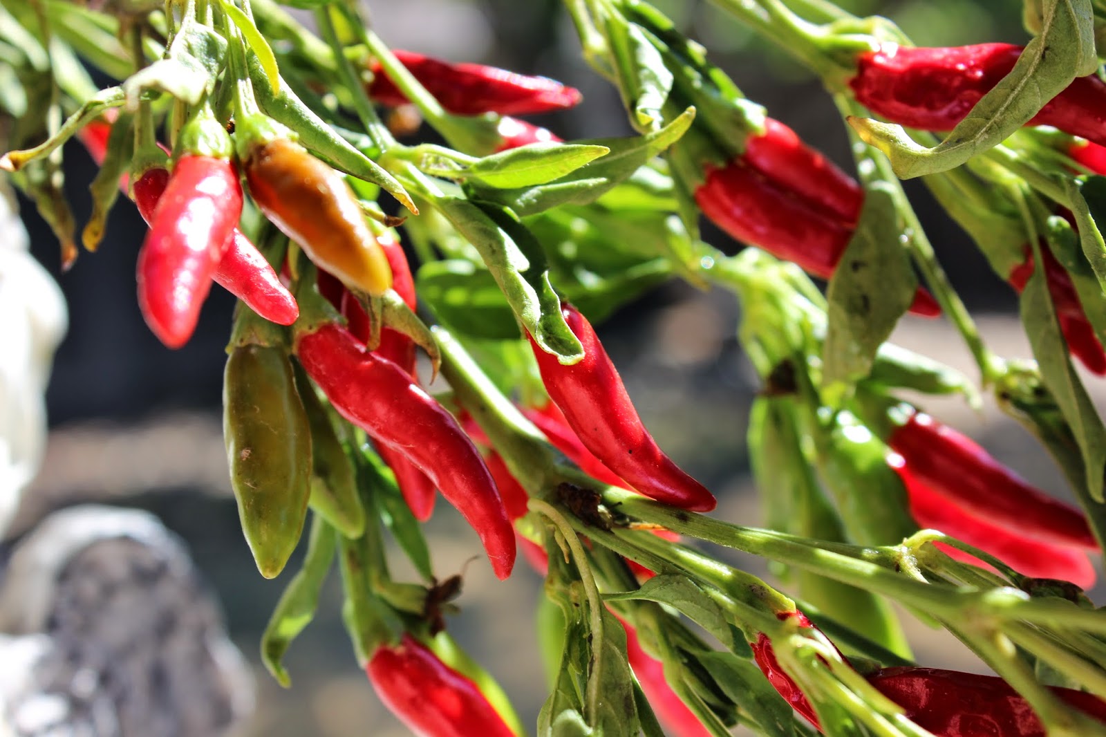 Crystal's Homemade Homemade Thai Chili Sauce