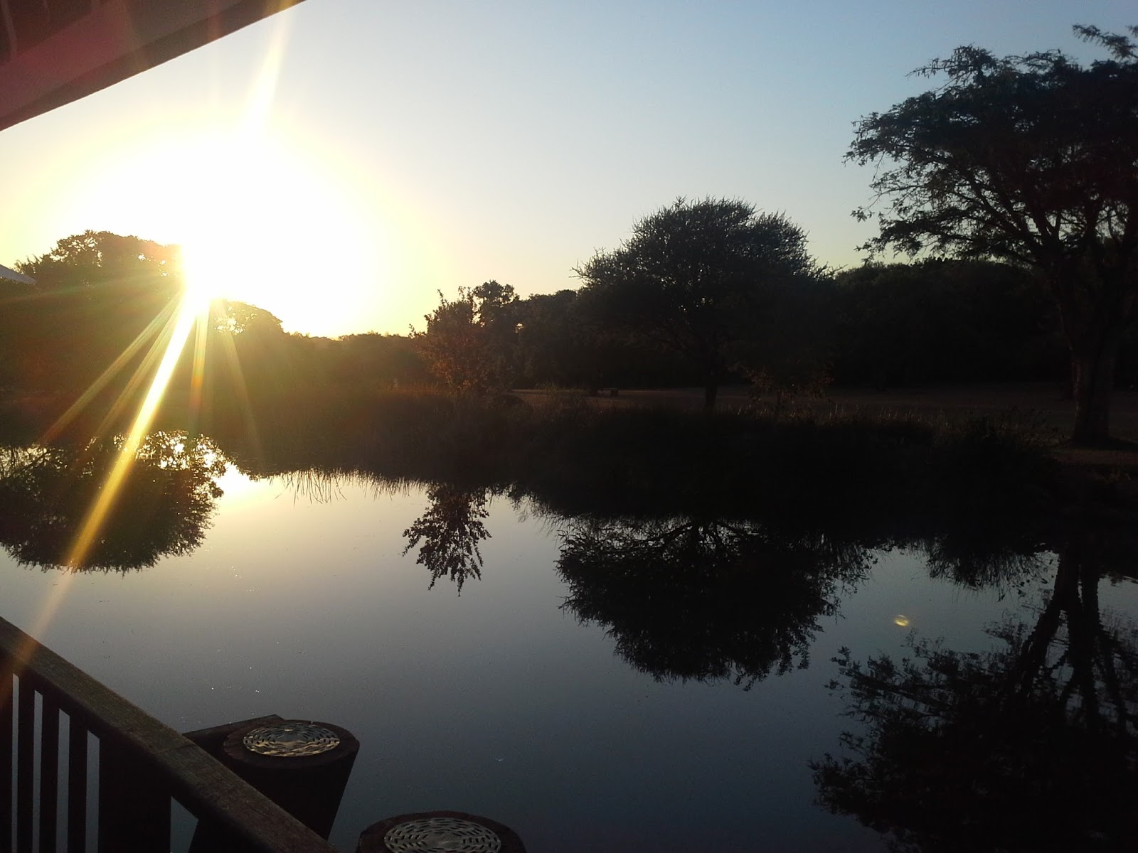 Go with Henry Sunset tea at the Pretoria Botanical gardens