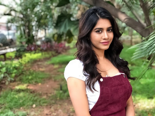 Nabha Natesh hot