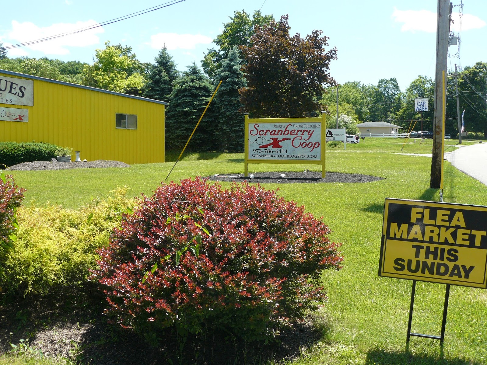 SCRANBERRY COOP Flea Market this Sunday! 9/4/16 at Scranberry Coop