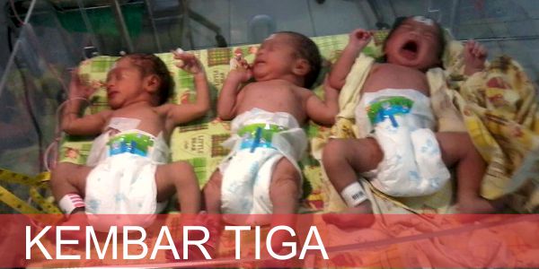 LANGKA: Telah Lahir Bayi Kembar 3 Di Trenggalek