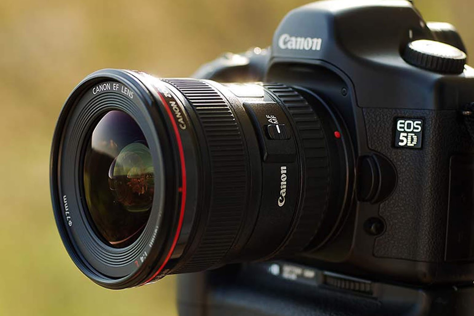 Canon eos r5. Canon eos ef. Canon eos rp body с адаптером ef-eos r. Canon rf 50mm 1. Canon 50 stm.