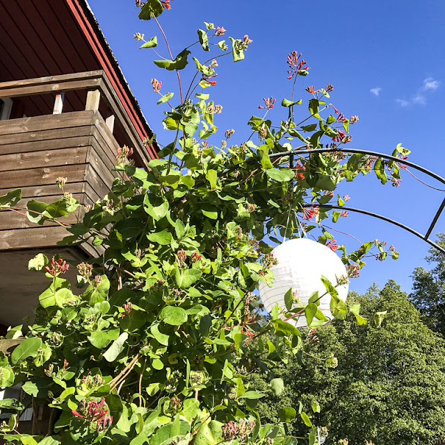 blombågen blombågen