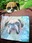 Personalized Pillow Cushion Of Me!
