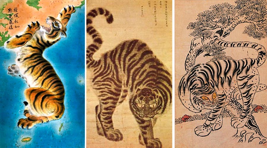 Четыре азиатских тигра. Корейский тигр. Корейский полуостров тигр. Азиатские тигры.