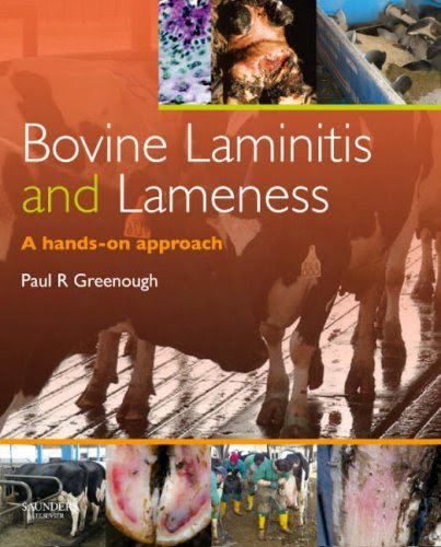 Veterinary Medicine: Bovine Lamuinitis and Lameness