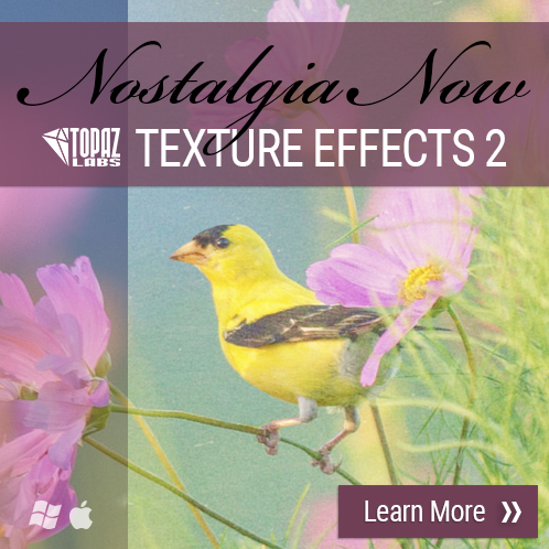 topaz texture effects coupon