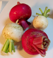 young turnips