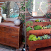  DIY: Make a small home garden from an old dresser