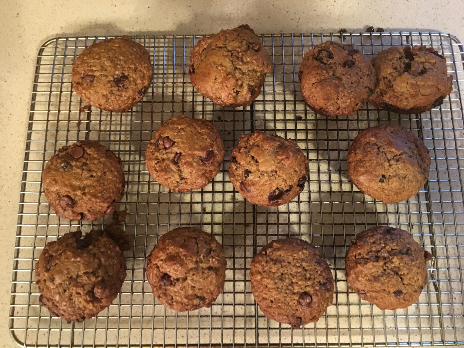 BJ Brinker's Home Cooking Chocolate Chip Bran Muffins