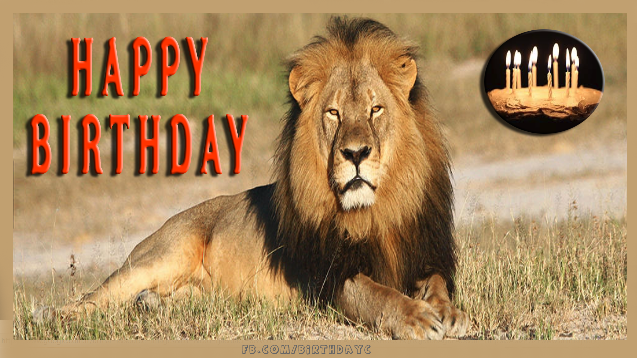 happy-birthday-lion-birthday-greeting-card