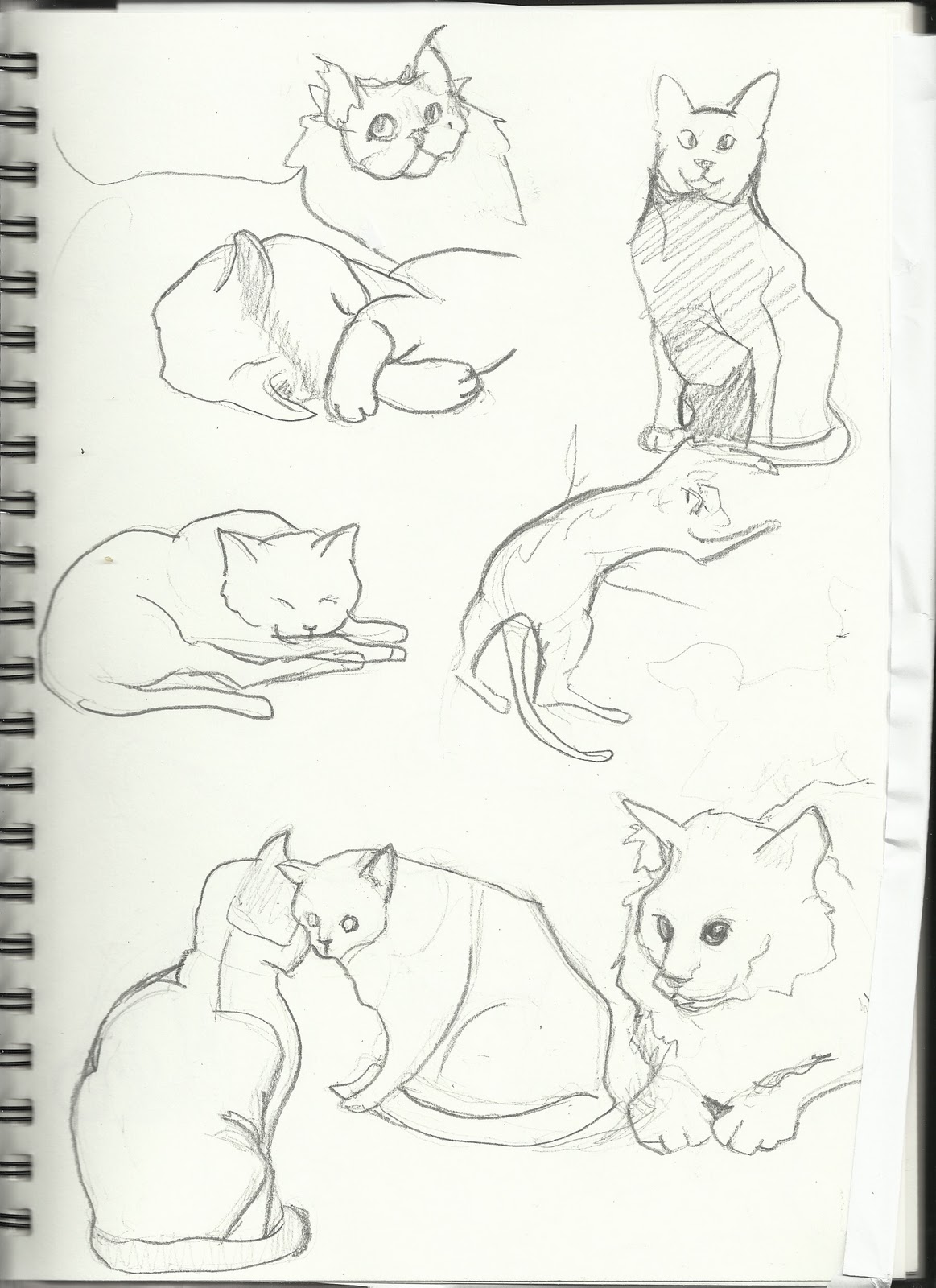 Alex's Movement, Story and Structure: Sketchbook: hyenas, cats and old
