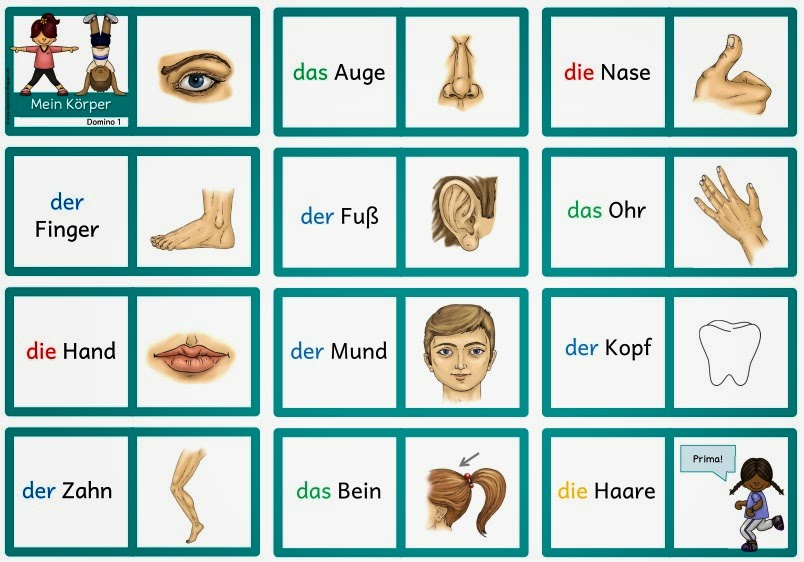 Körperteile kennenlernen