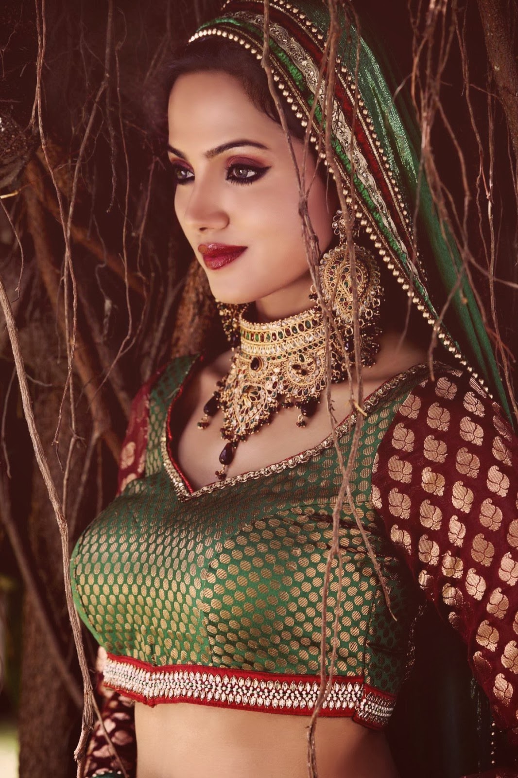 Anjali Gupta Hot saree