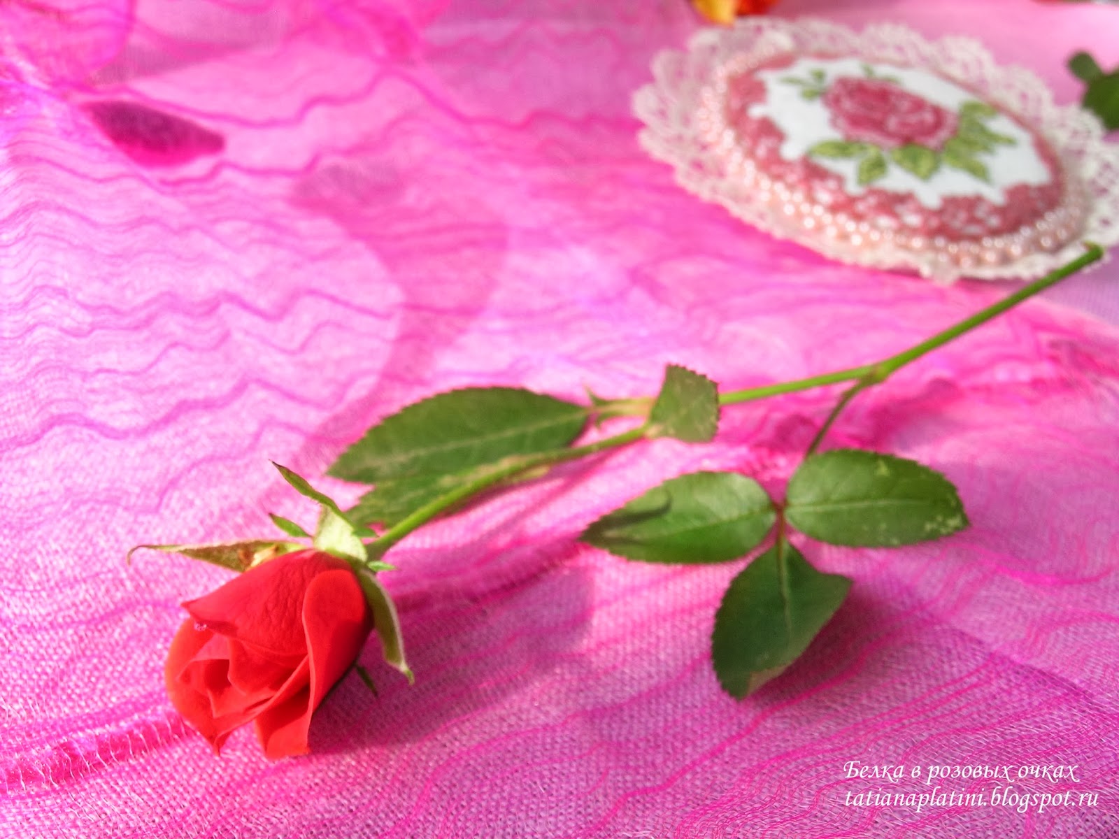 Белка в розовых очках: Броши "Роза" и "Букет роз"