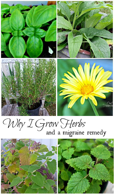 Why I grow herbs, plus a migraine remedy.