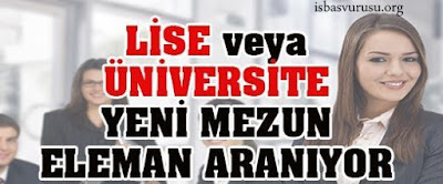 Yeni Mezun İş İlanları yeni-mezun-is-basvurusu