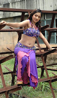 Sheela milky navel and thigh show photos