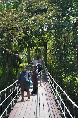 Menyusuri gua (caving) Mulu National Park jembatan gantung Mulu National Park