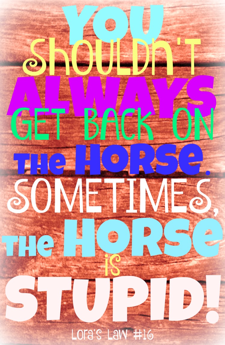 Get Back on the Horse Quote to Share Lora's Law 16 Kids Creative Chaos