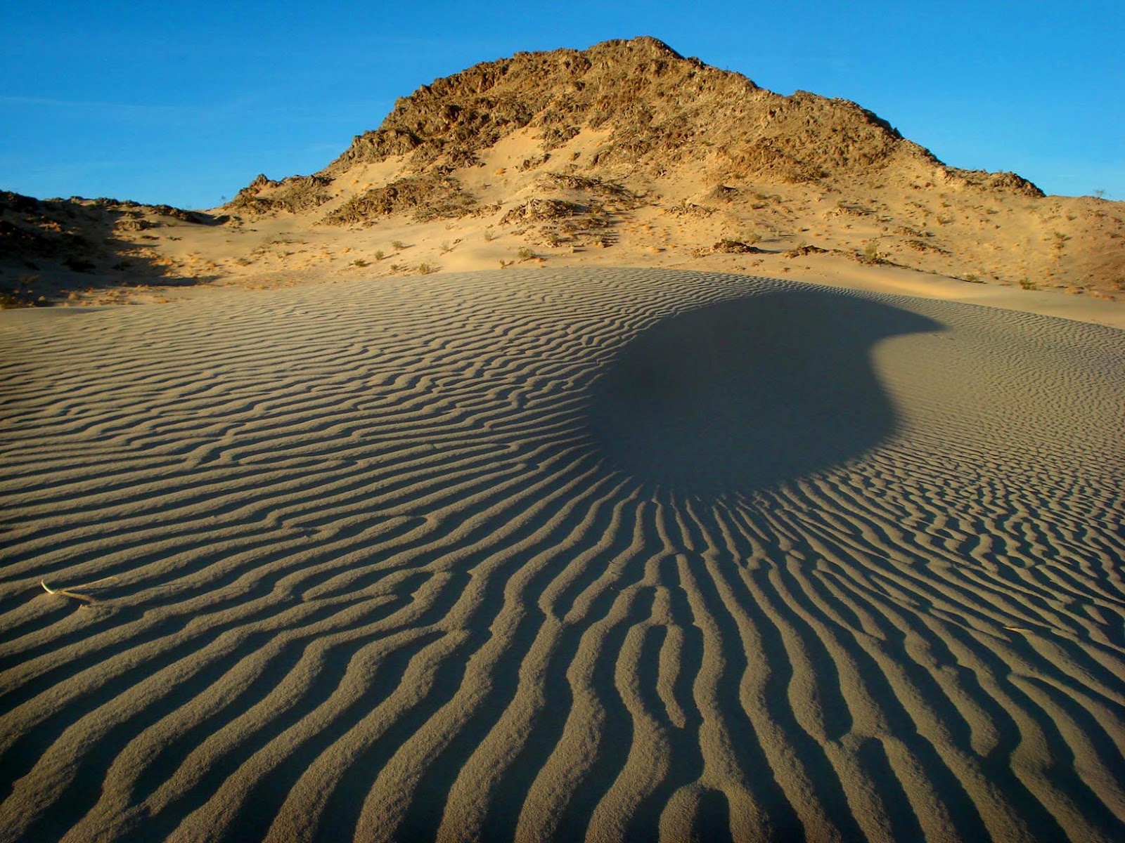 Cape Vincent Citizens Against Turbines: The Beauty of the Mojave Desert