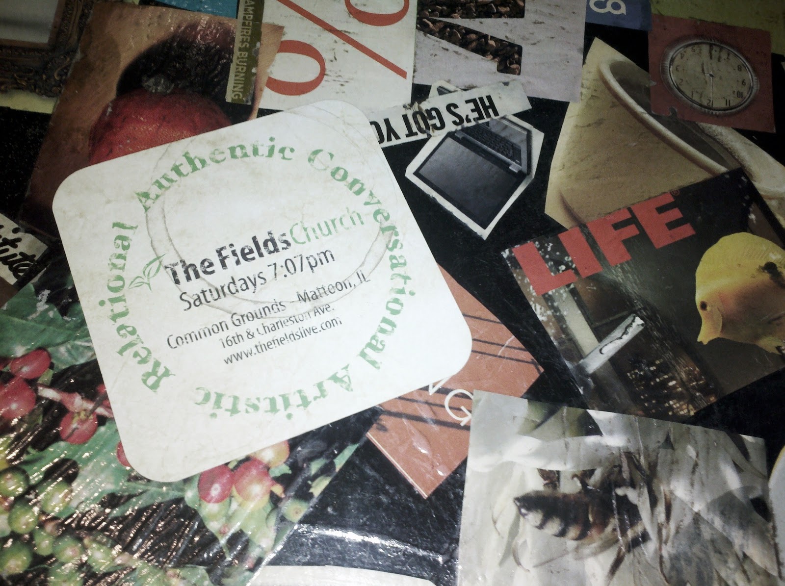 The Evolution of Coffee