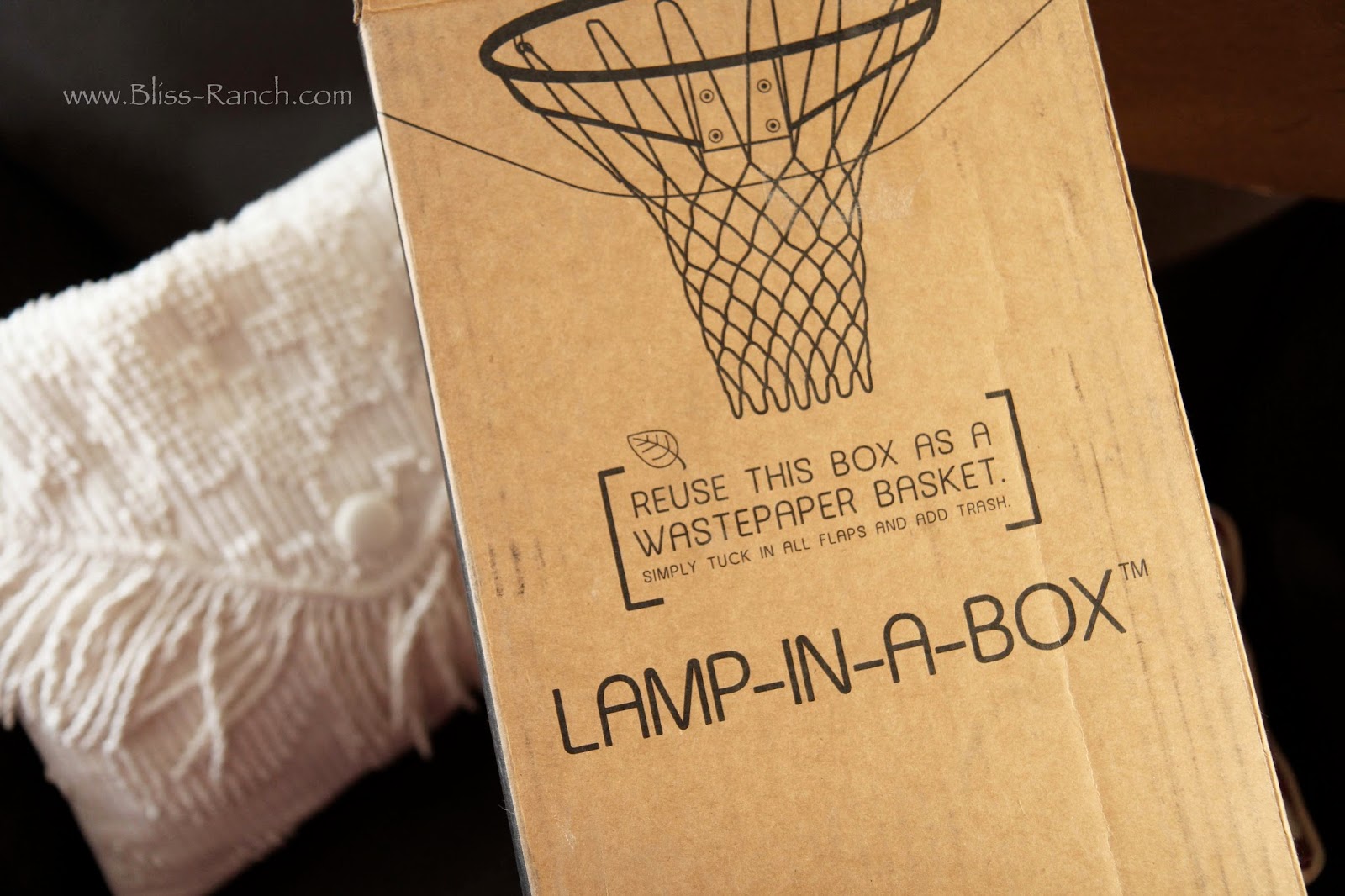Bliss Ranch: Lamp in a Box
