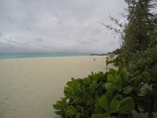 summer island maldives resort maldive