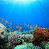 6 coisas bizzaras que foram descobertas no fundo do mar