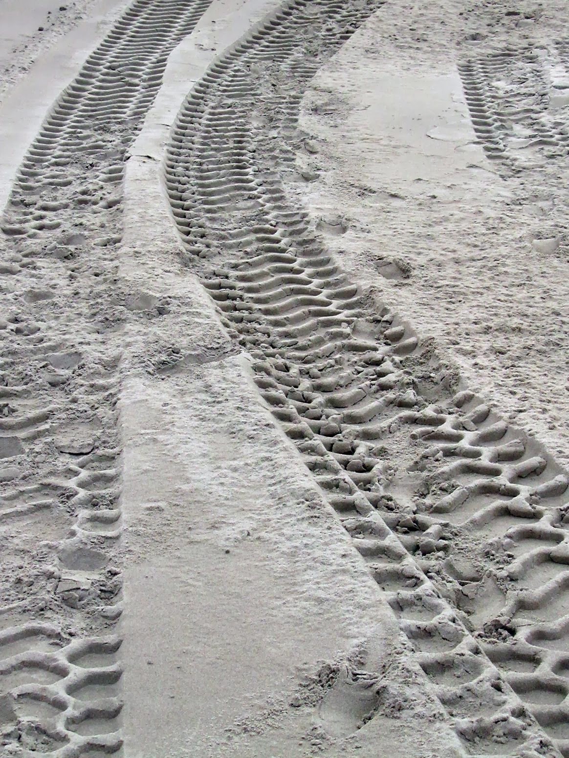 wide tracks in the sand