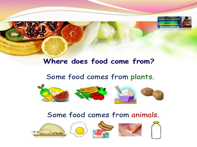 SONU ACADEMY: FOOD-WHERE IT COMES FROM-TEXT