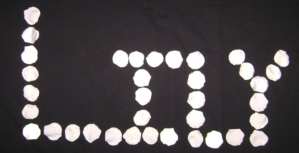 Rose and Her Lily Lily's Rose Petal Name